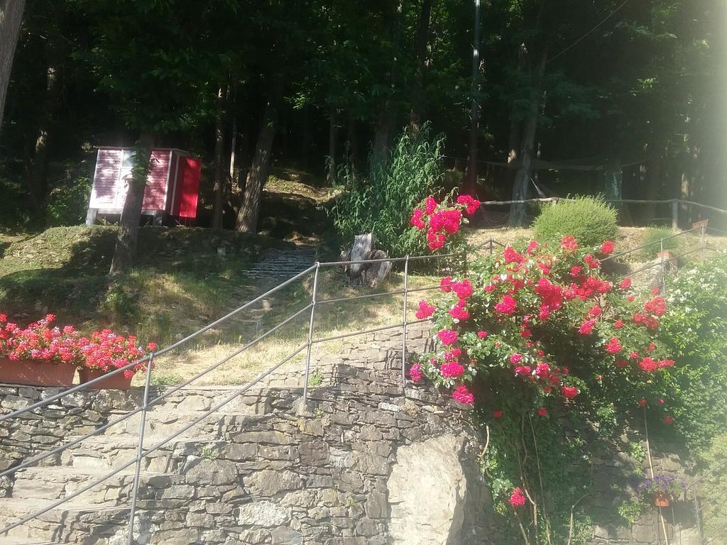 Villa Maia Neirone エクステリア 写真